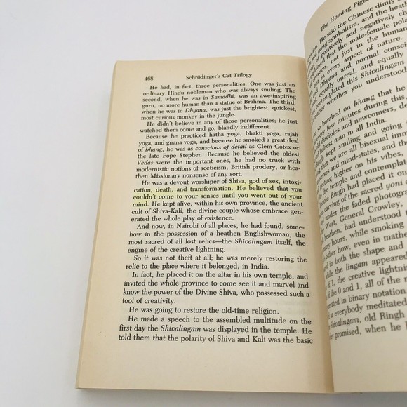 Schrodinger's Cat Trilogy by Robert Anton Wilson - Picture 7 of 8